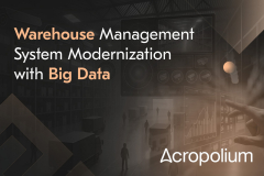 Big Data-powered WMS Modernization